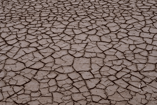 dehydration