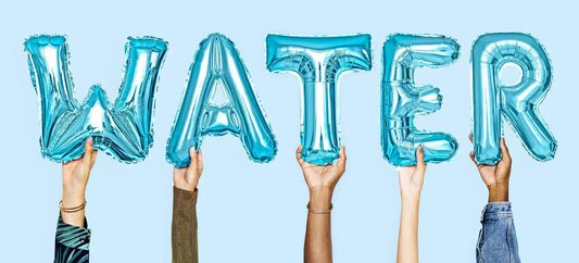 The Link Between Hydration and Cognitive Performance: How Water Affects Your Brain