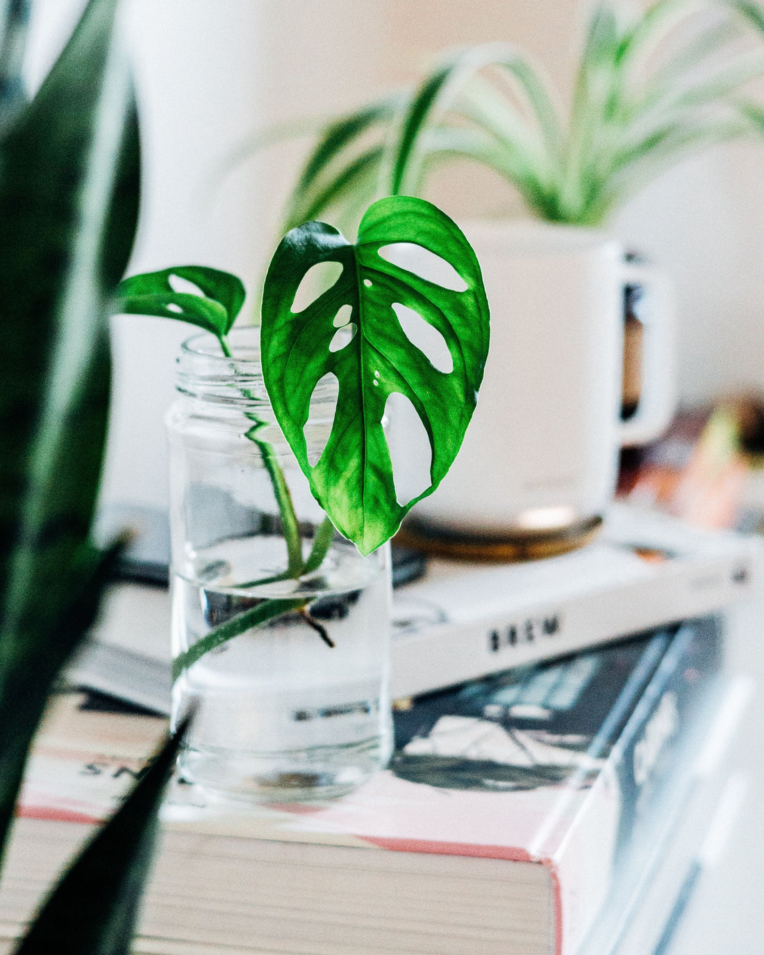 Home remedies for rehydration